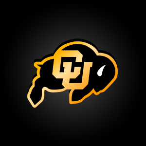 buffzone-logo_01