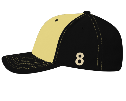 BlackGoldLEFTProfile2.png